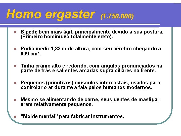 Homo ergaster (1. 750. 000) l Bípede bem mais ágil, principalmente devido a sua