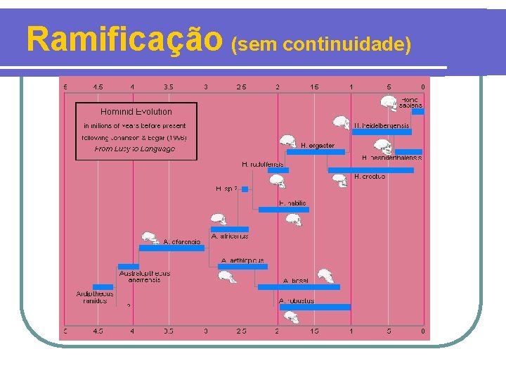 Ramificação (sem continuidade) 