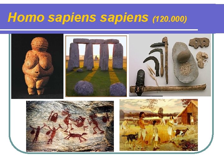 Homo sapiens (120. 000) 