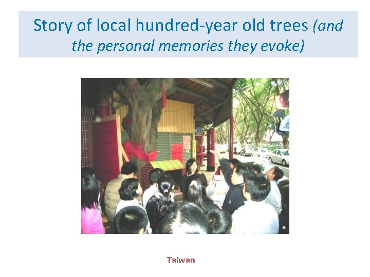Story of local hundred-year old trees (and the personal memories they evoke) Taiwan 