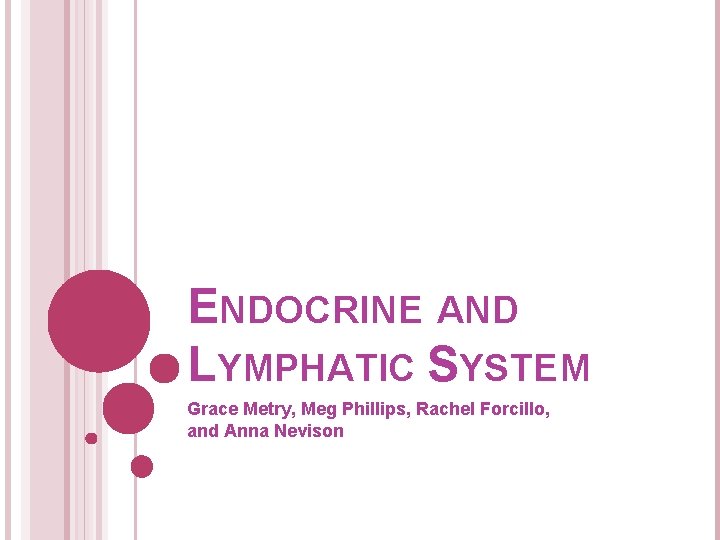 ENDOCRINE AND LYMPHATIC SYSTEM Grace Metry, Meg Phillips, Rachel Forcillo, and Anna Nevison 