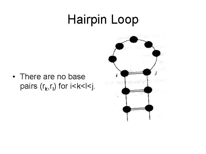 Hairpin Loop • There are no base pairs (rk, rl) for i<k<l<j. 