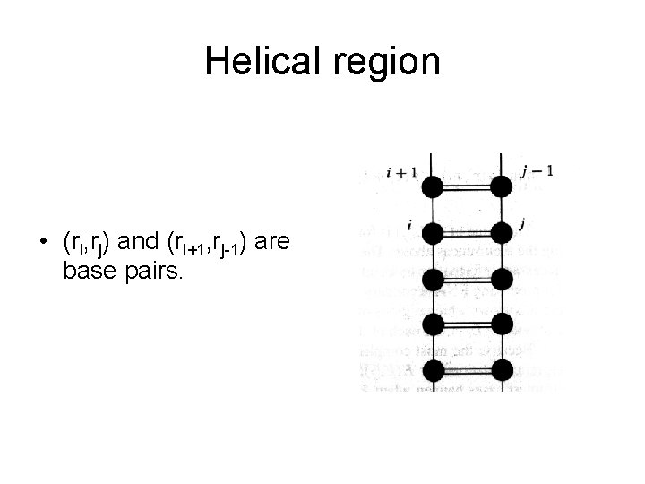 Helical region • (ri, rj) and (ri+1, rj-1) are base pairs. 