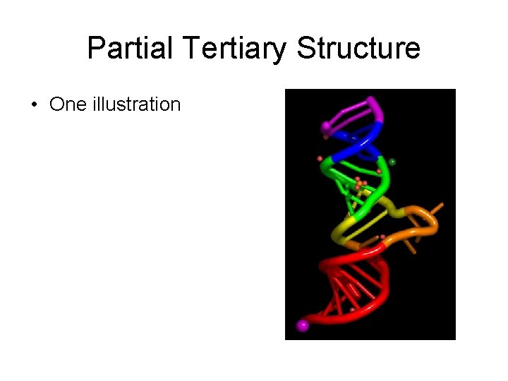 Partial Tertiary Structure • One illustration 