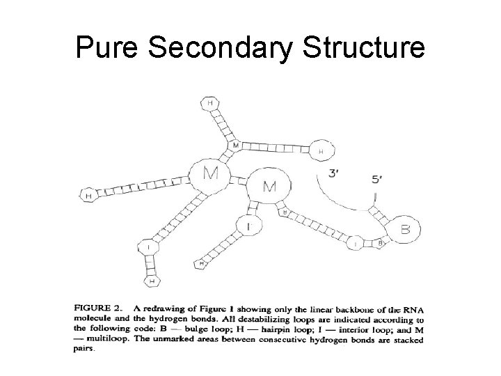 Pure Secondary Structure 