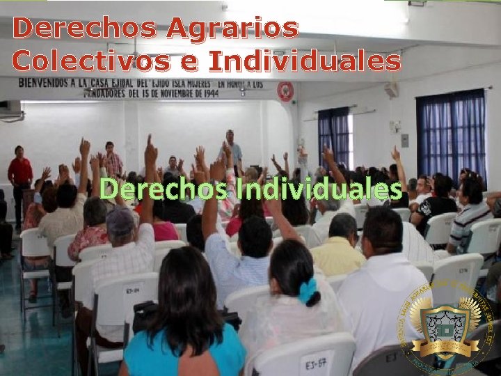 Derechos Agrarios Colectivos e Individuales Derechos Individuales 