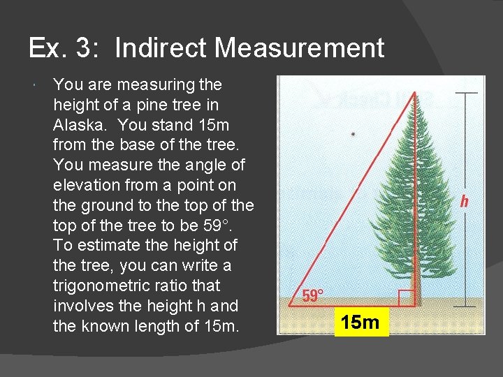Ex. 3: Indirect Measurement You are measuring the height of a pine tree in