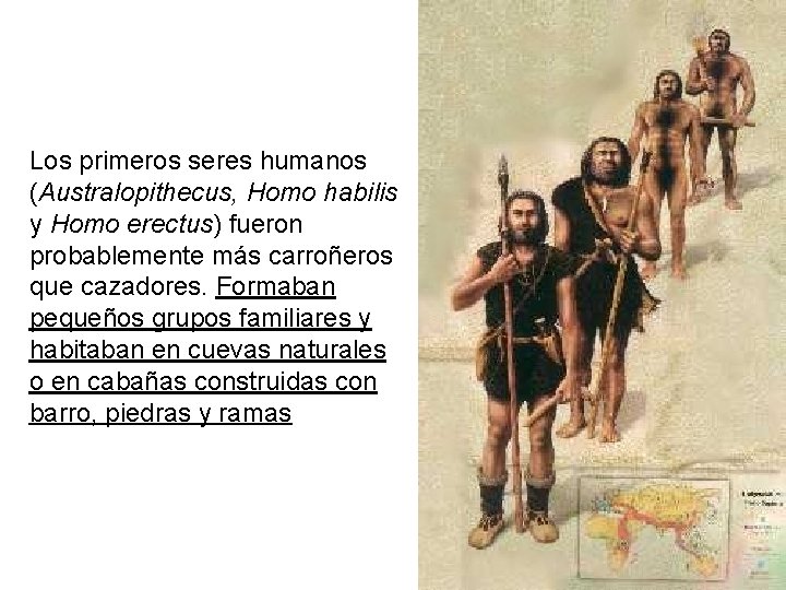 Los primeros seres humanos (Australopithecus, Homo habilis y Homo erectus) fueron probablemente más carroñeros