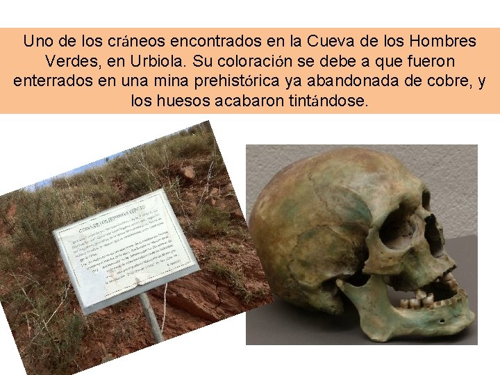 Uno de los cráneos encontrados en la Cueva de los Hombres Verdes, en Urbiola.