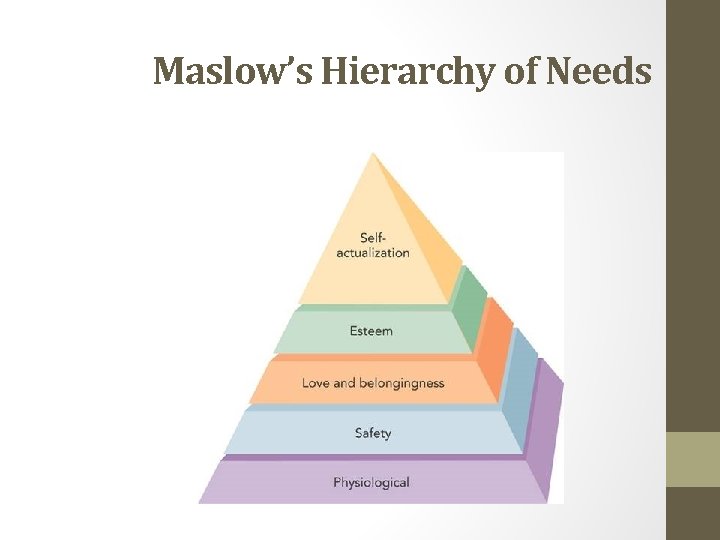 Maslow’s Hierarchy of Needs 