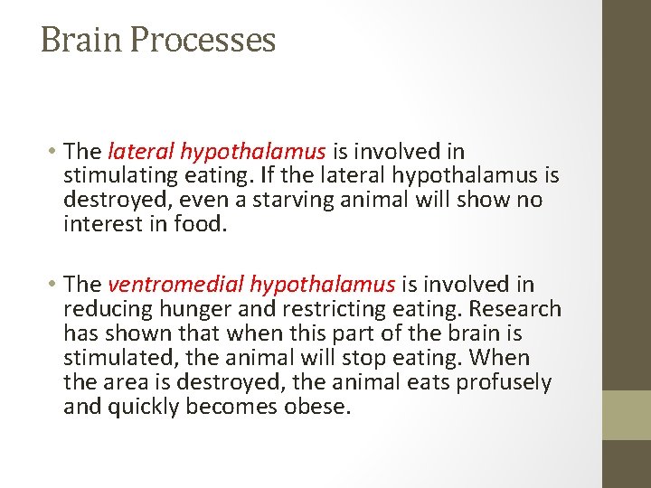 Brain Processes • The lateral hypothalamus is involved in stimulating eating. If the lateral