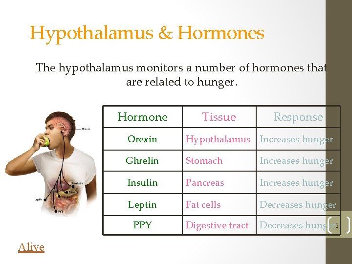 Hypothalamus & Hormones The hypothalamus monitors a number of hormones that are related to