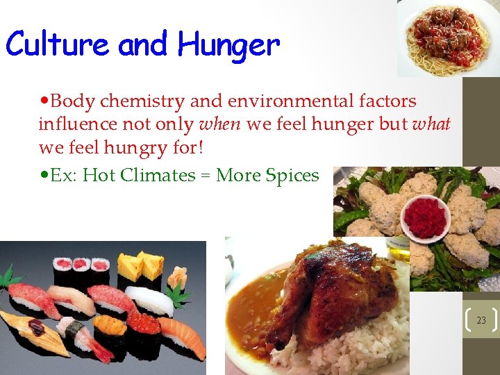 Culture and Hunger • Body chemistry and environmental factors influence not only when we