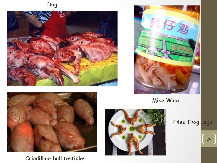 Dog Mice Wine Fried Frog Legs 24 Criadillas- bull testicles. 