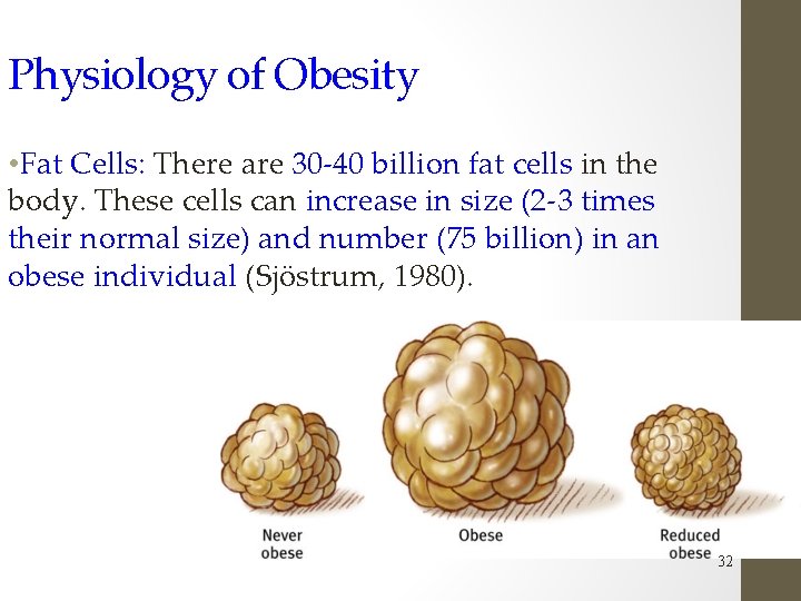 Physiology of Obesity • Fat Cells: There are 30 -40 billion fat cells in