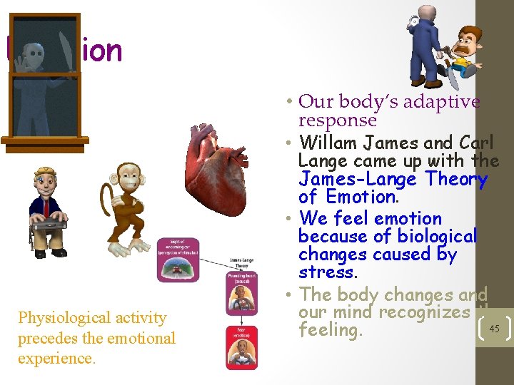 Emotion • Our body’s adaptive response Physiological activity precedes the emotional experience. • Willam