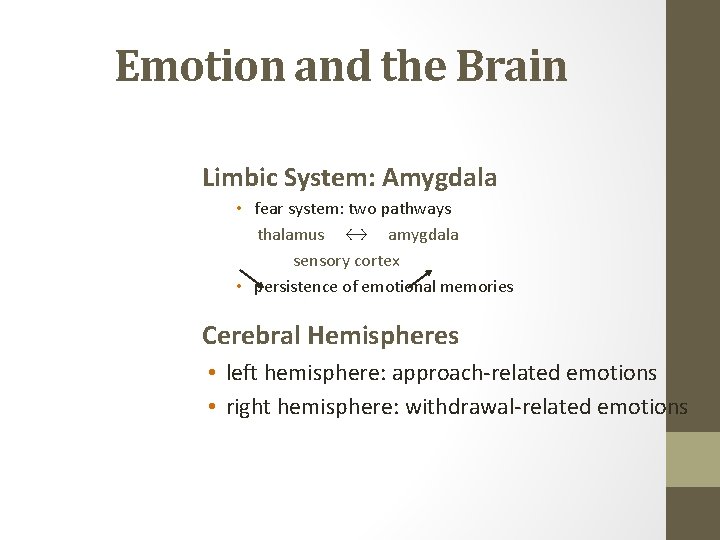 Emotion and the Brain Limbic System: Amygdala • fear system: two pathways thalamus ↔