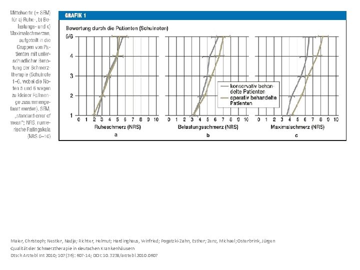 Maier, Christoph; Nestler, Nadja; Richter, Helmut; Hardinghaus, Winfried; Pogatzki-Zahn, Esther; Zenz, Michael; Osterbrink, Jürgen