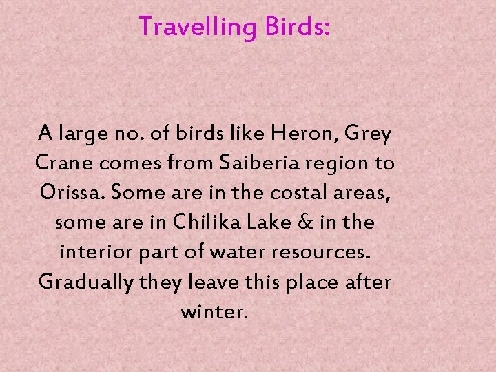Travelling Birds: A large no. of birds like Heron, Grey Crane comes from Saiberia