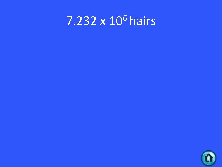 7. 232 x 106 hairs 