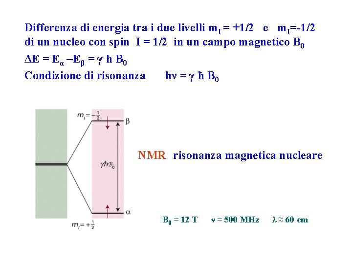 Differenza di energia tra i due livelli m. I = +1/2 e m. I=-1/2