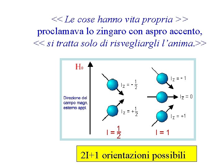 << Le cose hanno vita propria >> proclamava lo zingaro con aspro accento, <<