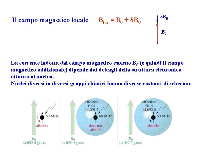 Il campo magnetico locale Bloc = B 0 + δB 0 B 0 La