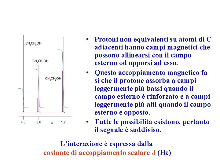  • Protoni non equivalenti su atomi di C adiacenti hanno campi magnetici che