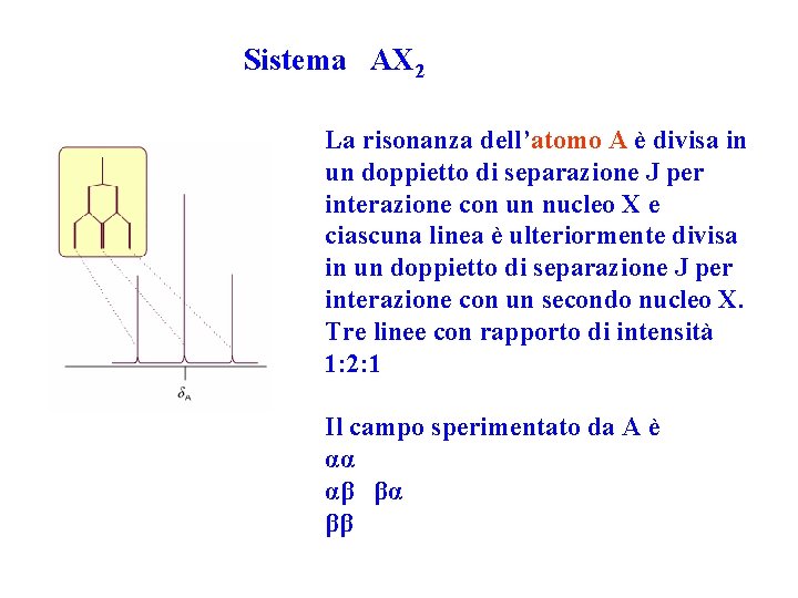 Sistema AX 2 La risonanza dell’atomo A è divisa in un doppietto di separazione