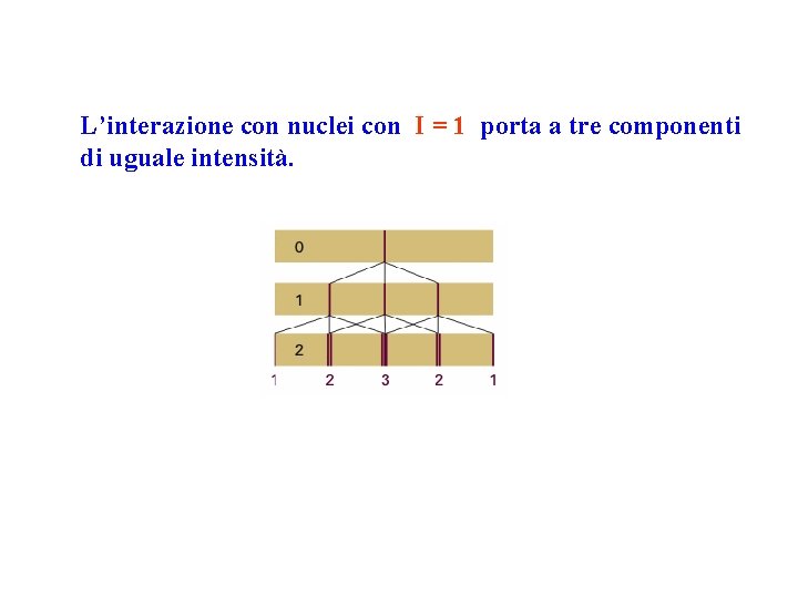 L’interazione con nuclei con I = 1 porta a tre componenti di uguale intensità.