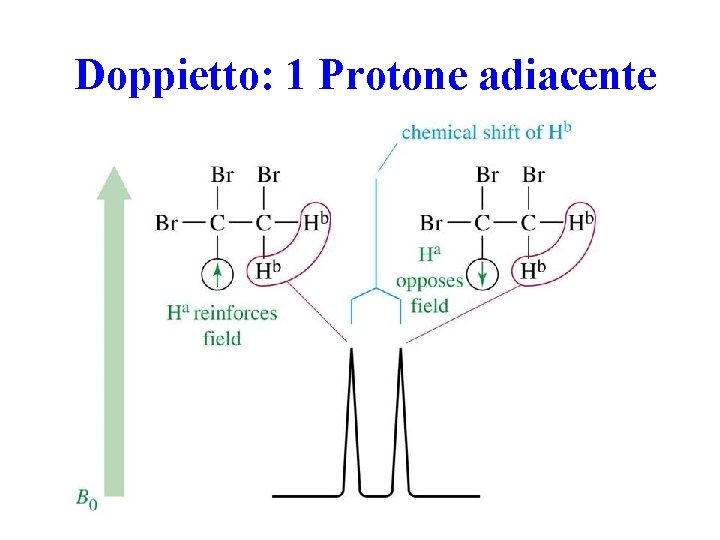 Doppietto: 1 Protone adiacente 