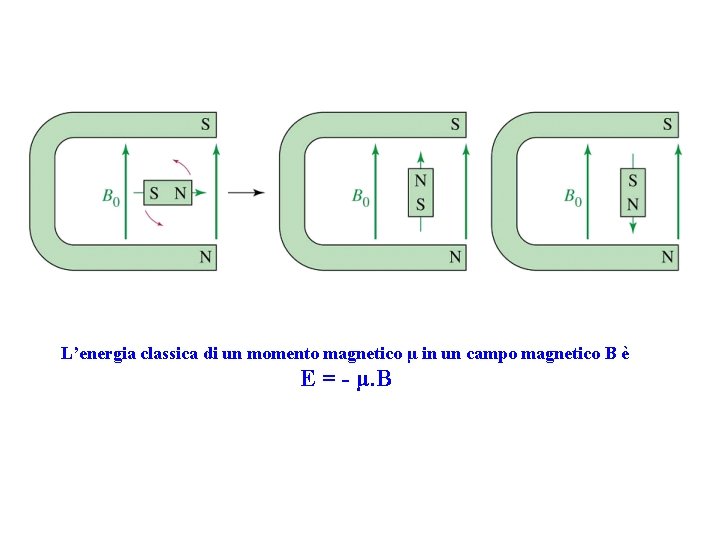 L’energia classica di un momento magnetico μ in un campo magnetico B è E