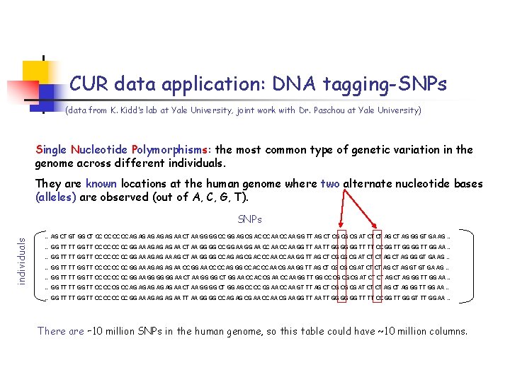 CUR data application: DNA tagging-SNPs (data from K. Kidd’s lab at Yale University, joint