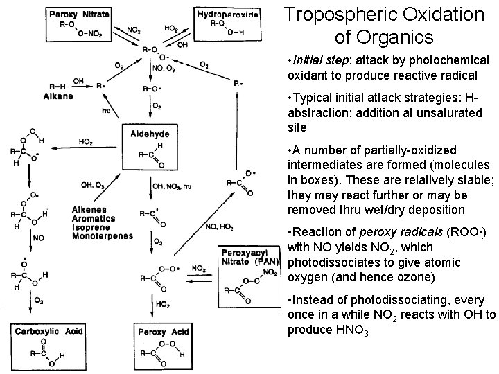 Tropospheric Oxidation of Organics • Initial step: attack by photochemical oxidant to produce reactive