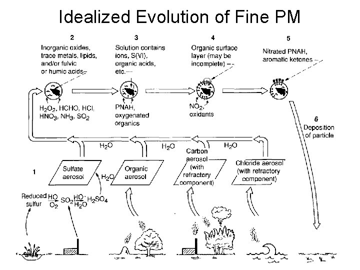 Idealized Evolution of Fine PM 