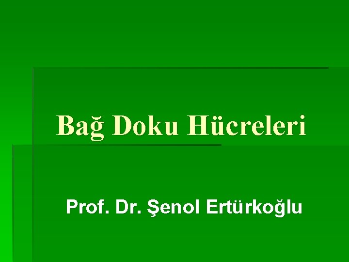 Bağ Doku Hücreleri Prof. Dr. Şenol Ertürkoğlu 