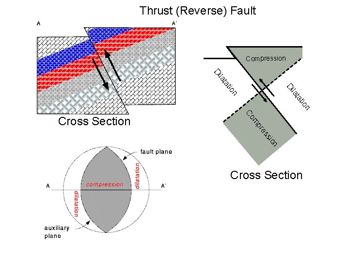 Thrust (Reverse) Fault Compression Di n la tio Di ta la tio ta n