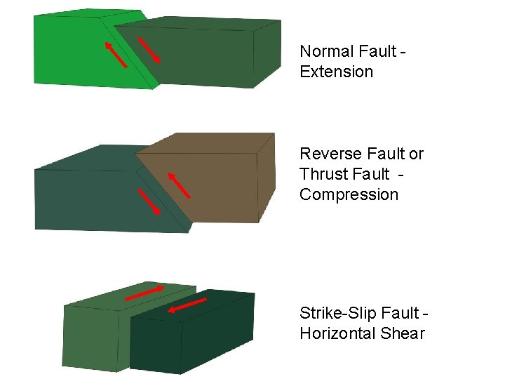 Normal Fault Extension Reverse Fault or Thrust Fault Compression Strike-Slip Fault Horizontal Shear 