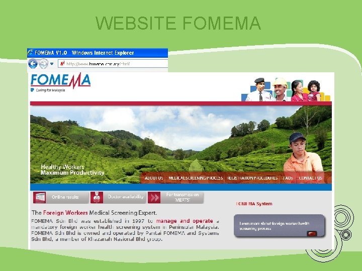 WEBSITE FOMEMA 