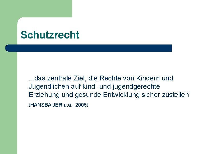 Schutzrecht . . . das zentrale Ziel, die Rechte von Kindern und Jugendlichen auf Schutzrecht . . . das zentrale Ziel, die Rechte von Kindern und Jugendlichen auf
