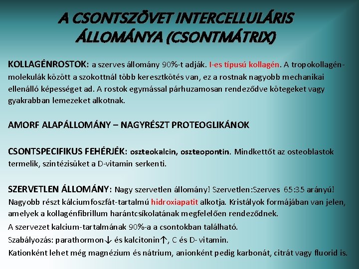 A CSONTSZÖVET INTERCELLULÁRIS ÁLLOMÁNYA (CSONTMÁTRIX) KOLLAGÉNROSTOK: a szerves állomány 90%-t adják. I-es típusú kollagén.