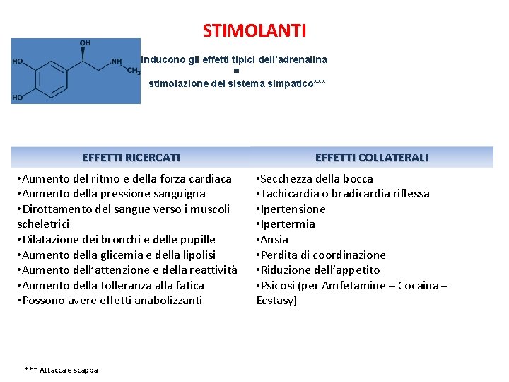 STIMOLANTI inducono gli effetti tipici dell’adrenalina = stimolazione del sistema simpatico*** EFFETTI RICERCATI •