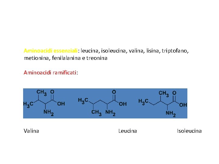 Aminoacidi essenziali: essenziali leucina, isoleucina, valina, lisina, triptofano, metionina, fenilalanina e treonina Aminoacidi ramificati: