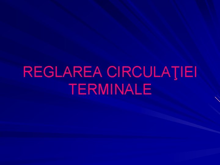 REGLAREA CIRCULAŢIEI TERMINALE 