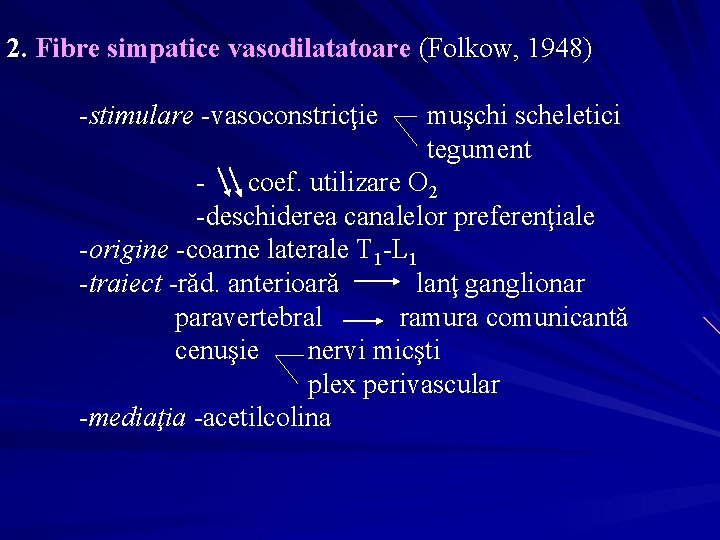 2. Fibre simpatice vasodilatatoare (Folkow, 1948) -stimulare -vasoconstricţie muşchi scheletici tegument coef. utilizare O