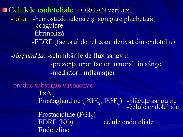 Celulele endoteliale = ORGAN veritabil -roluri: -hemostază, aderare şi agregare plachetară, coagulare -fibrinoliză -EDRF