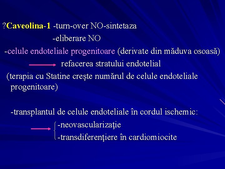 ? Caveolina-1 -turn-over NO-sintetaza -eliberare NO -celule endoteliale progenitoare (derivate din măduva osoasă) refacerea