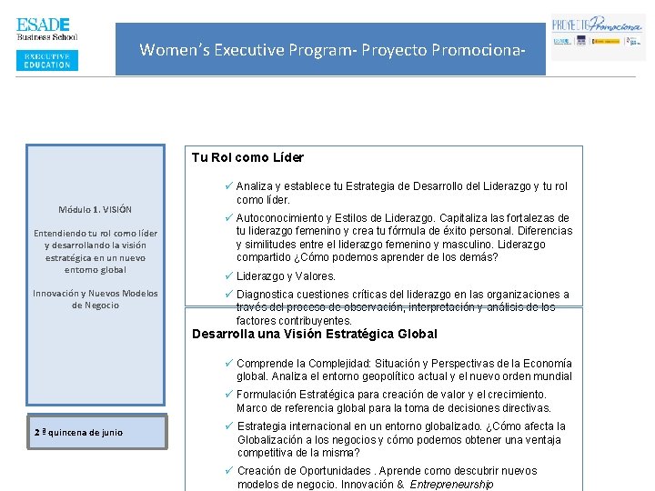 Women’s Executive Program- Proyecto Promociona- Tu Rol como Líder Módulo 1. VISIÓN Entendiendo tu