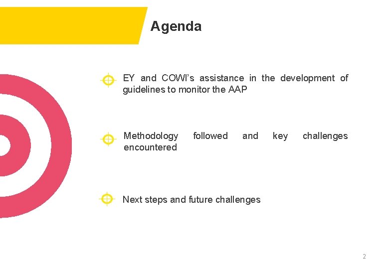 Agenda EY and COWI’s assistance in the development of guidelines to monitor the AAP