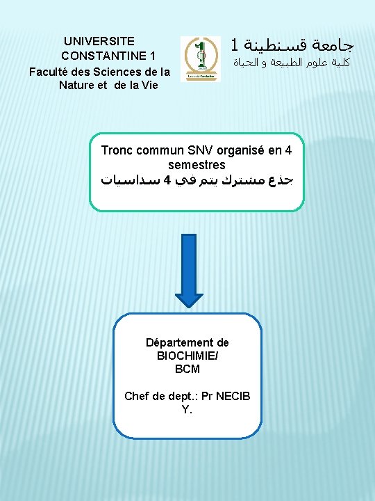 UNIVERSITE CONSTANTINE 1 1 ﻗﺴﻨﻄﻴﻨﺔ ﺟﺎﻣﻌﺔ Faculté des Sciences de la Nature et de